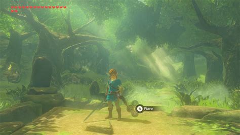 Nintendo Modeled the ‘Legend of Zelda: BOTW’ Korok Seed Flowers With ...