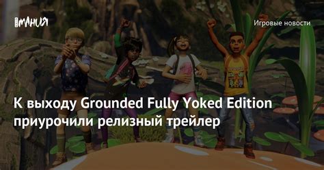 Grounded Fully Yoked Edition