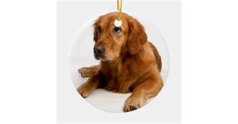 Golden Retriever Christmas Ornament With Photo | Zazzle