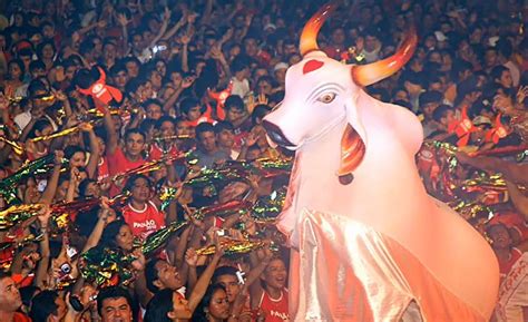 Boi Do Amazonas - 10 Things to Know Before Visiting the Festival do Boi Bumba in Amazonas