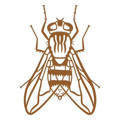 Design Png E Svg De Projeto De Curso De Mosca Para Camisetas