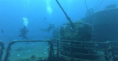 People Diving near Ship Wreck · Free Stock Photo