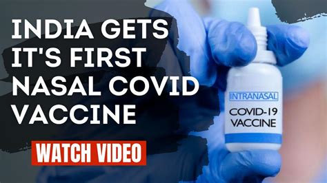 Covid Nasal Vaccine India Launches It S First Covid Nasal