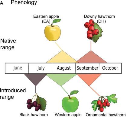 Comparing Sympatric and Allopatric Speciation and Correlate to Prezygotic and Postzygotic ...