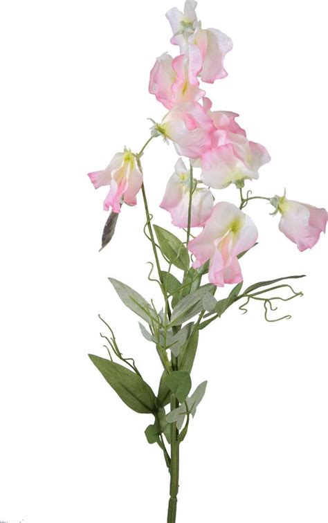 Viv Home Luxuries Lathyrus Zijden Bloem Licht Roze 70cm Bol