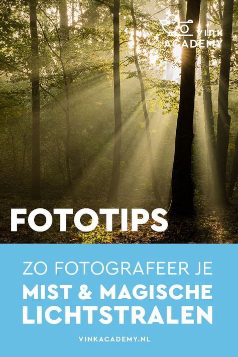 Tips Voor Fotograferen In De Mist Vink Academy Natuurfotografie