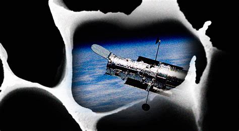 tree absorbs   light making   darkest  earth