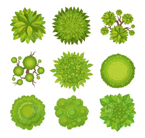 Top View Of Trees And Bushes Vector Illustrations Set Elements