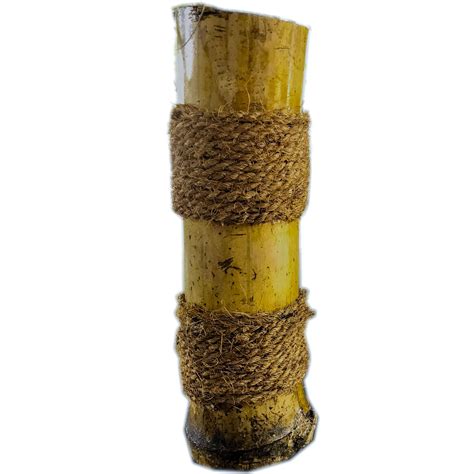 Bamboo Pot, Bamboo Planter Pot, Bamboo Vase, Bamboo Flower Vase , Bamboo Décor - Etsy