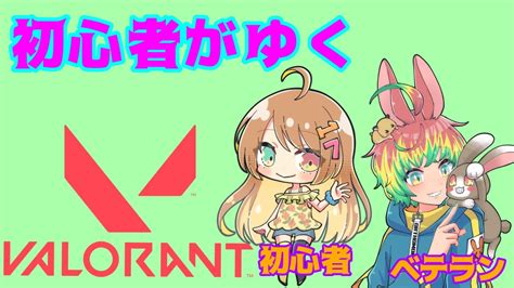 【valorant】初めて4日目のヴァロラント！withおるそ君！常連の方でも概要欄必読！！参加型！新人vtubervalorant