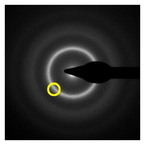 Selected Area Electron Diffraction Pattern From The Region Marked With