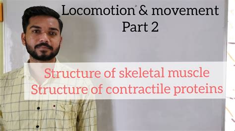 Locomotion Movement Part 2 Skeletal Muscle Structure Of