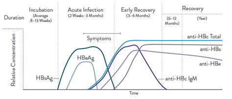 Hepatitis Solutions Core Laboratory At Abbott