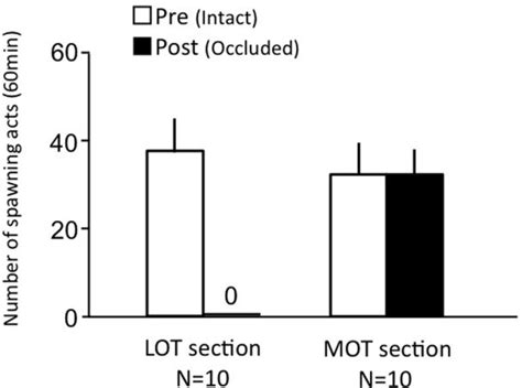 Effects Of Olfactory Subtract Section On Female Sexual Behavior In