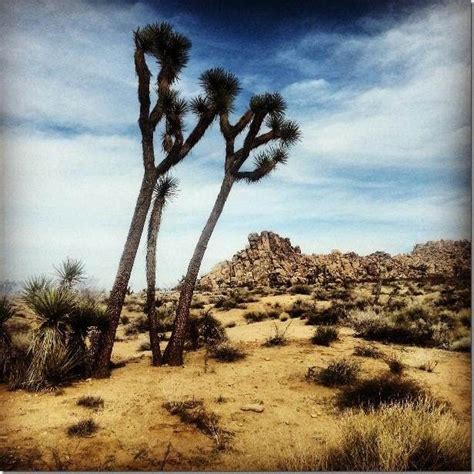 49 Amazing Places To Visit On The Ultimate West Coast Usa Road Trip