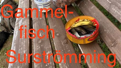 Surströmming Challenge Schweden fermentierter stinkender Fisch aus