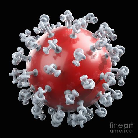 Neutralized Virus Capsid Photograph By Laguna Design Science Photo