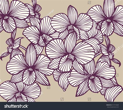 Set Vector Orchids Isolated Orchids On Stock Vector Royalty Free