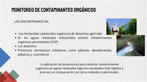 Una Revisi N De Los Biosensores Para El Monitoreo Ambiental Pdf