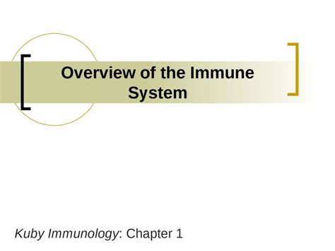 Ppt Kuby Immunology Chapter