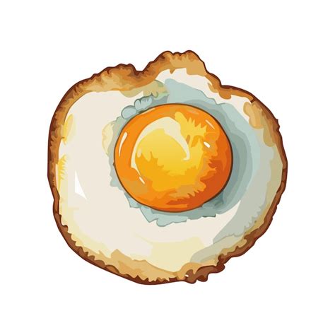 Premium Vector Fried Egg Vector Illustration