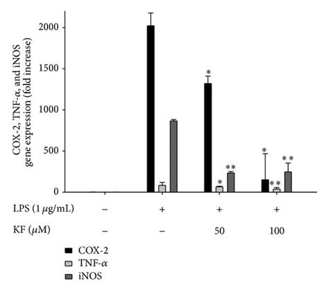 The Effects Of Kf On Inos Cox 2 And Tnf α Gene Expression And