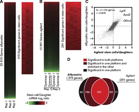 Figure From The Lgr Intestinal Stem Cell Signature Robust