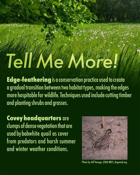 Outdoor Illinois Journal: Illinois Habitat Strike Teams: Partnering to