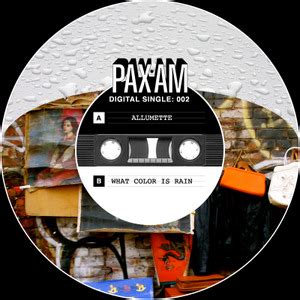 Ryan Adams Pax Am Digital Single No 2 Allumette B W What Color Is