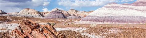 Petrified Forest National Park Tour Shaka Guide Self Guided Gps