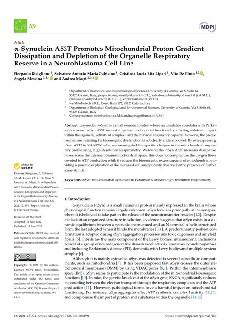 Pdf α Synuclein A53t Promotes Mitochondrial Proton Gradient