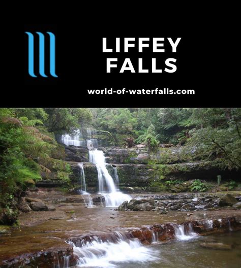 Liffey Falls Four Waterfalls In A World Heritage Area