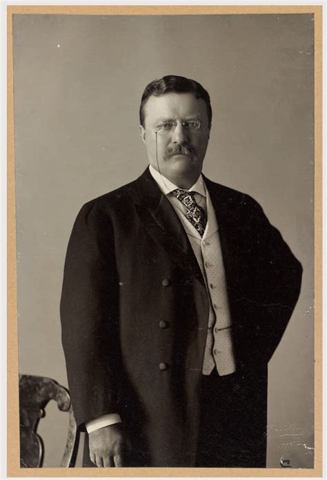 Teddy Roosevelt The End Of The Gilded Age And The Beginning Of The