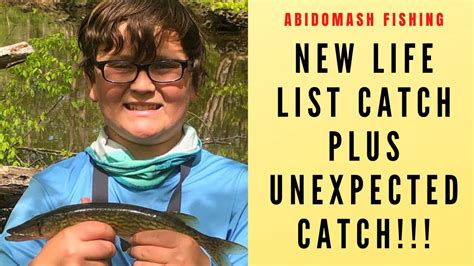 Fishing New Creekcatches New Life List Species One Unexpected