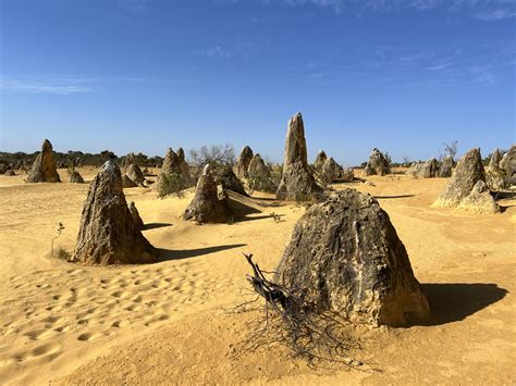 Pinnacles desert wa|nambung national park|perth tourist attraction
