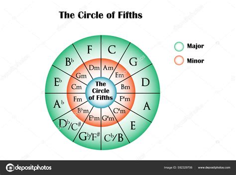 Circle Fifths Music Theory Stock Vector By ©samjore 592329706