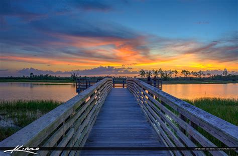 Florida Landscape HDR Photo Pine Glades Natural Area | HDR Photography ...