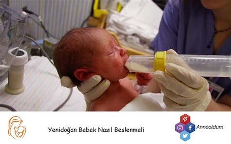 Yenido An Bebek Nas L Beslenmeli Yenido An Bebek Nas L Be Flickr