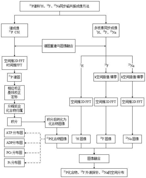 一种多核素同步及谱成像一体化磁共振成像系统和方法