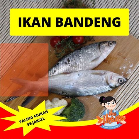 Jual Ikan Bandeng Segar Kg Cocok Untuk Cabut Duri Presto Asap