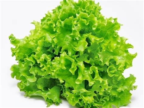 Lettuce Allergy: Symptoms, Lettuce Alternative Recipes & More