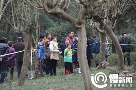 重庆女孩游乐园被甩死亡事故：设备去年12月刚检验合格 闽南网