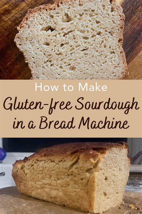 Gluten Free Sourdough Bread Recipe The Holistic Mama