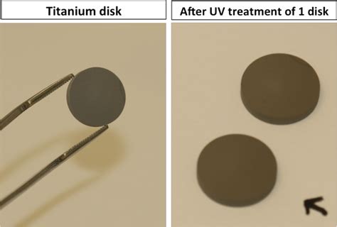 Photographic Image Showing The Titanium Based Disks Half Of The