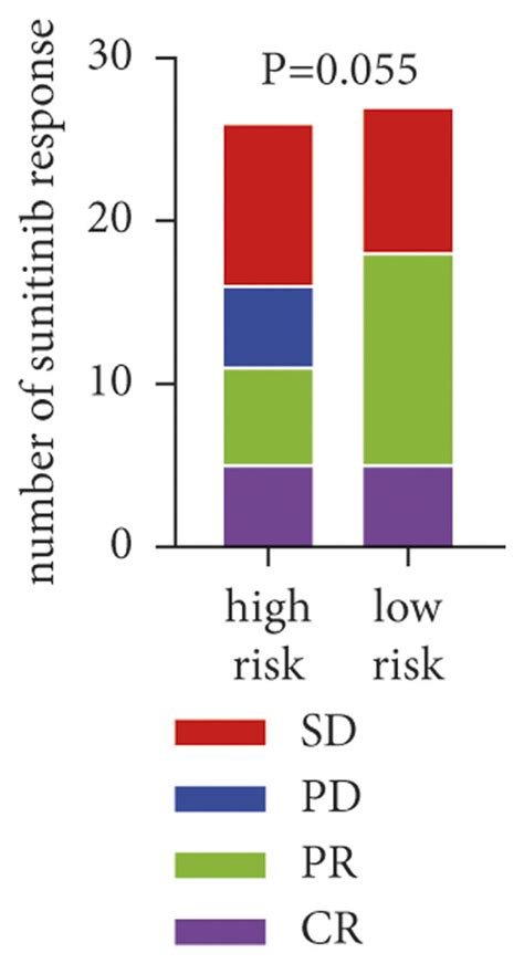 Somatic Mutations In The Low And High Risk Groups And The Potential