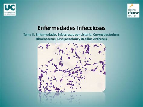 Enfermedades Infecciosas Tema Enfermedades Infecciosas Por Listeria