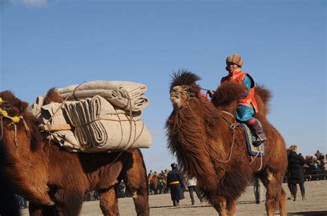 Gobi Desert Tour