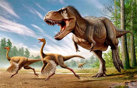 What Do Dinosaurs Eat? Facts About Dinosaur Diet