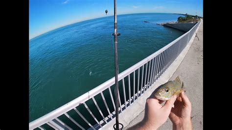 Fishing The Florida Keys Spanish Harbor Bridge Youtube