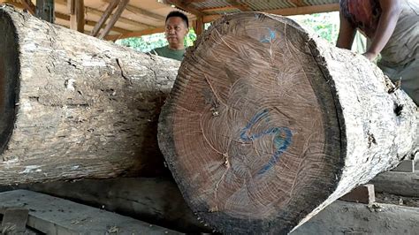 Kembar Beda Jenis 5 Jt Dua Potong Kayu Jati Saradan Bahan Bangku